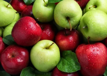 fresh-ripe-green-red-apples-87710613
