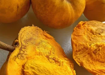 a-tropical-taste-of-hawaii-eggfruit