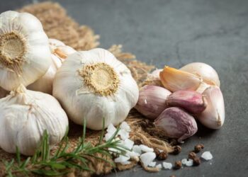 garlic