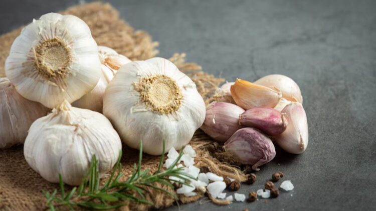 garlic