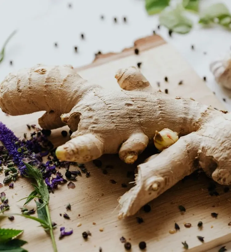 ginger-water-ws-05jpg