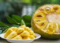 0db5859d-b7da-4996-8266-8e9ccb3f91d9-jackfruit-lead