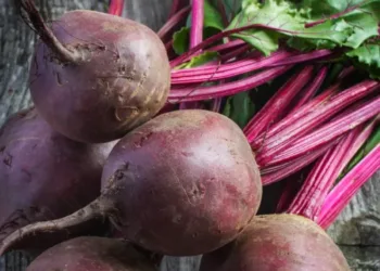 beetroot-2-2024-10-b2ca70c4f104cfb15ab67bcd8aa33705