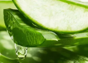 1050011-le-petit-olivier-gelee-micellaire-demaquillante-aloe-vera-the-vert-ingredient
