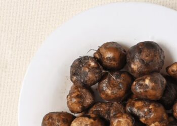 2cfc5fd63717a1b4f9f775e933c350c9