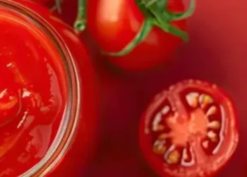 aDarNMU9eoccnp8SeWEa