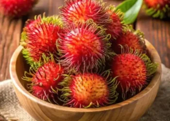 fA45zpSRnIhHkyM7gXtg