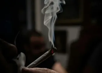 pexels-borishamer-17237100