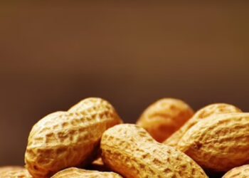 pexels-pho_1721201967