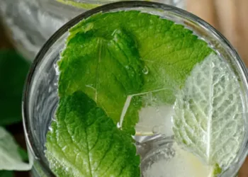 Side-effects-of-mint-leaves-7