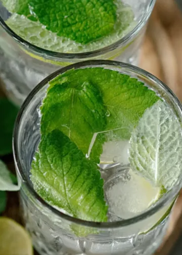 Side-effects-of-mint-leaves-7