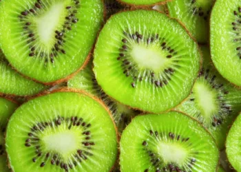 kiwi-benefits-2-2024-10-b469309d0df33543c1fe1e2d76a3c8bb