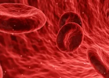 blood-g4e28dcb97_1920